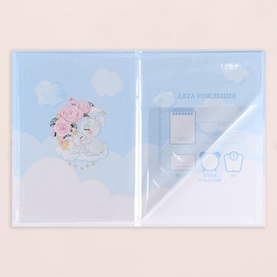 Папка под свидетельство о рождении «Жирафики», А5