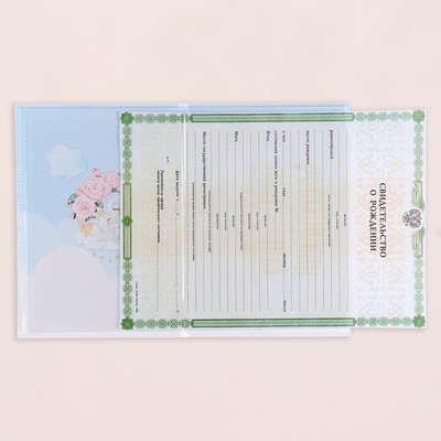 Папка под свидетельство о рождении «Жирафики», А5