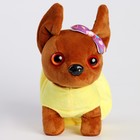 Мягкая игрушка «Чихуахуа Боня» в одежде, 20 см - Фото 2