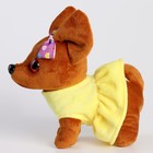 Мягкая игрушка «Чихуахуа Боня» в одежде, 20 см - Фото 3