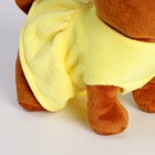 Мягкая игрушка «Чихуахуа Боня» в одежде, 20 см - Фото 5