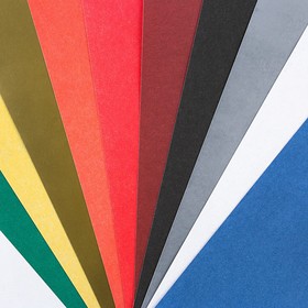 Картон цветной А4, 10 листов 10 цветов немелованный односторонний «Енотик» 180 г золото+серебро в плёнке (комплект 2 шт)