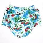 Рубашка для собак «Тропики», XS (ДС 20. ОГ 28, ОШ 19 см), голубая - Фото 7