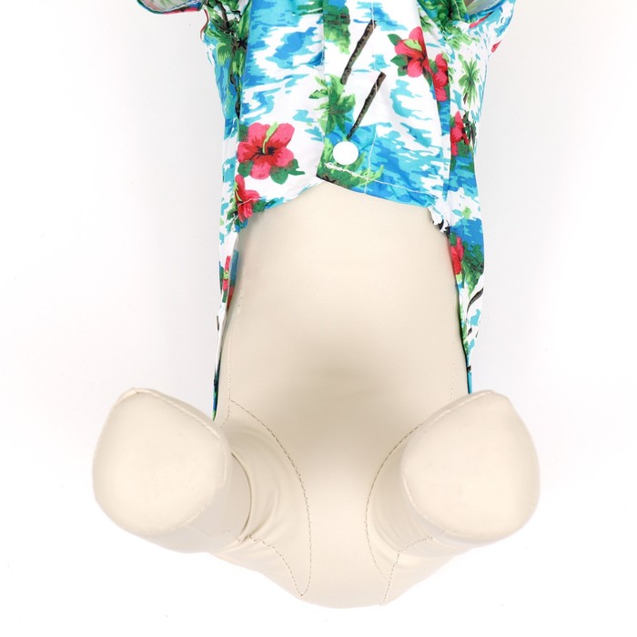 Рубашка для собак "Тропики", S (ДС 24, ОГ 30, ОШ 23 см), голубая