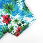 Рубашка для собак «Тропики», M (ДС 26, ОГ 34, ОШ 25 см), голубая - Фото 9