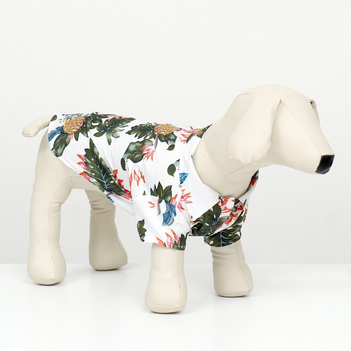 Рубашка для собак "Тропики", ХL (ДС 34, ОГ 44, ОШ 31 см), белая - Фото 1