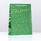 Пакет подарочный, фольгированный, "Зеленый" 34 Х 26 Х 8 см  МИКС - фото 10713817