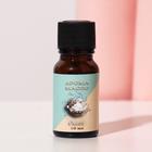 Эфирное масло «Океан», 10 мл, «Богатство Аромата» - Фото 2