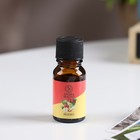 Эфирное масло «Яблоко», 10 мл, «Богатство Аромата» - Фото 2