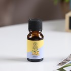 Эфирное масло «Лимон», 10 мл, «Богатство Аромата» - Фото 4