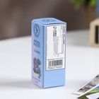 Эфирное масло «Лаванда», 10 мл, «Богатство Аромата» - Фото 3