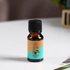 Эфирное масло «Свежесть леса», 10 мл, «Богатство Аромата» - Фото 4