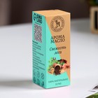 Эфирное масло «Свежесть леса», 10 мл, «Богатство Аромата» - Фото 2