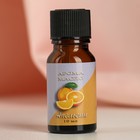 Эфирное масло «Апельсин», 10 мл, «Богатство Аромата» - Фото 2