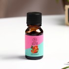 Эфирное масло «Клубника», 10 мл, «Богатство Аромата» - Фото 3