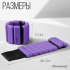 Утяжелители ONLYTOP, 2 шт. х 0,5 кг, цвет фиолетовый - Фото 3