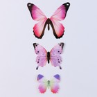 Набор для украшения «Бабочки», 12 шт., цвет розовый - фото 10899929