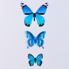 Набор для украшения «Бабочки», 12 шт, цвет голубой - Фото 3