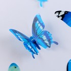 Набор для украшения «Бабочки», 12 шт, цвет голубой - Фото 4