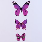 Набор для украшения «Бабочки», 12 шт, цвет фиолетовый - Фото 3