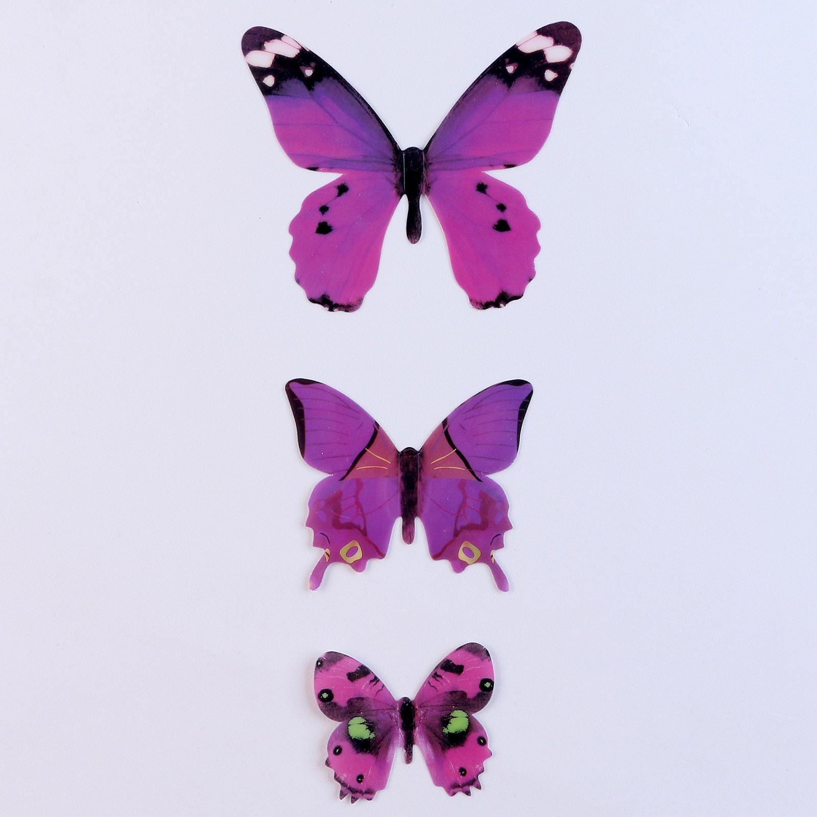 Butterfly 12. Бабочки для украшения. Бабочки 12 штук расположены. Декор бабочка из перьев 12 штук коробке