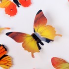 Набор для украшения «Бабочки», 12 шт, цвет жёлтый - Фото 4