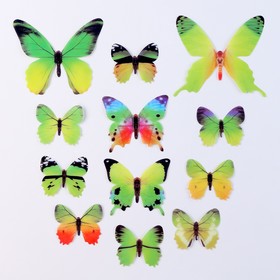 Набор для украшения «Бабочки», 12 шт, цвет зелёный