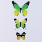 Набор для украшения «Бабочки», 12 шт, цвет зелёный - фото 10899949