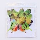 Набор для украшения «Бабочки», 12 шт, цвет зелёный - фото 11377608