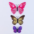 Набор для украшения «Бабочки», 12 шт, цвета МИКС - фото 10899960