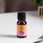 Эфирное масло «Папайя», 10 мл, «Богатство Аромата» - Фото 2