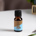 Эфирное масло «Кокос», 10 мл, «Богатство Аромата» - Фото 2