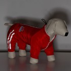 Комбинезон «Спорт», размер S, ДС 25, ОГ 35, ОШ 25 см, со светоотражающими полосами, красный - Фото 11