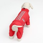 Комбинезон «Спорт», размер S, ДС 25, ОГ 35, ОШ 25 см, со светоотражающими полосами, красный - Фото 3