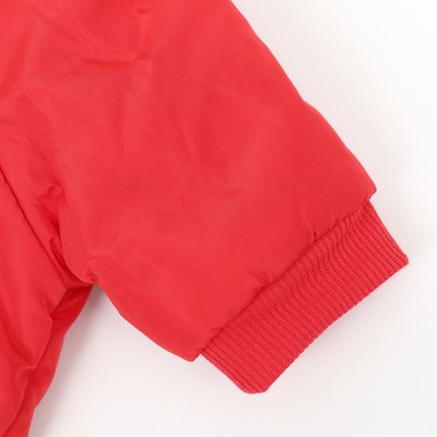 Комбинезон «Спорт», размер S, ДС 25, ОГ 35, ОШ 25 см, со светоотражающими полосами, красный
