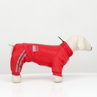 Комбинезон «Спорт», размер M, ДС 30, ОГ 40, ОШ 30 см, со светоотражающими полосами, красный - Фото 2