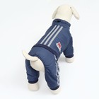 Комбинезон «Спорт» со светоотражающими полосами, размер L (ДС 35, ОГ 45, ОШ 35 см), тёмно-синий - Фото 3