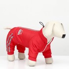 Комбинезон «Спорт», размер XL, ДС 40, ОГ 50, ОШ 40 см, со светоотражающими полосами, красный - Фото 1