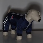 Комбинезон «Спорт» со светоотражающими полосами, размер 2XL (ДС 45, ОГ 55, ОШ 45 см), т.синий - Фото 11