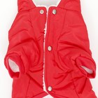 Комбинезон «Спорт», размер 2XL, ДС 45, ОГ 55, ОШ 45 см, со светоотражающими полосами, красный - Фото 9