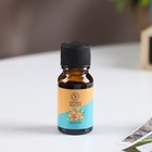 Эфирное масло «Фруктовый», 10 мл, «Богатство Аромата» - Фото 4