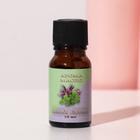 Эфирное масло «Лаванда и ментол»,10 мл, «Богатство Аромата» - Фото 6