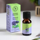 Эфирное масло «Лаванда и ментол»,10 мл, «Богатство Аромата» - Фото 1