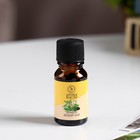 Эфирное масло «Бамбук и белый чай», 10 мл, «Богатство Аромата» - Фото 2