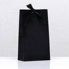 Пакет подарочный с лентой «Чёрный», 13 × 23 × 7 см - фото 319667653
