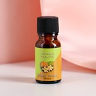 Эфирное масло «Цитрус и ваниль», 10 мл, «Богатство Аромата» - Фото 3