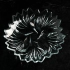 Тарелка стеклянная «Виктория», Иран (комплект 6 шт) - фото 40554475