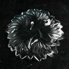 Тарелка стеклянная «Виктория», Иран (комплект 6 шт) - фото 40554476