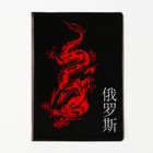 Обложка для паспорта «Дракон», ПВХ - Фото 2