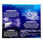 УЦЕНКА Металлические головоломки «Океан» набор 5 шт. - Фото 5